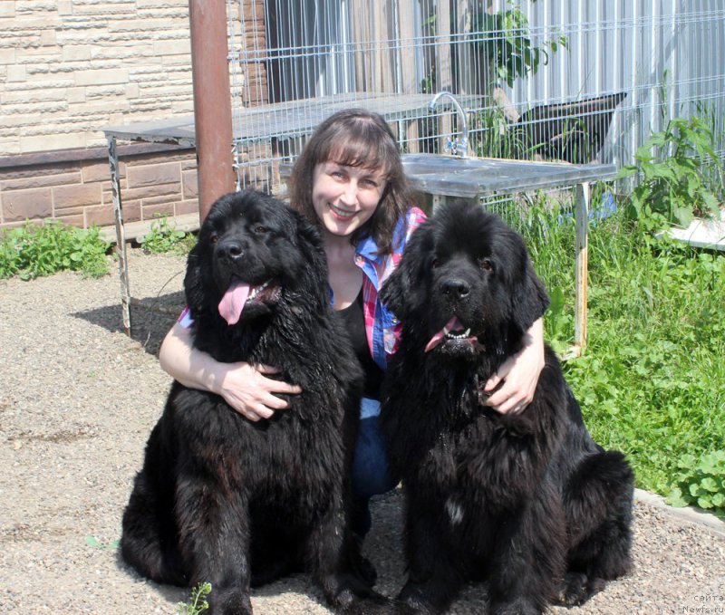 Фотография № 208173