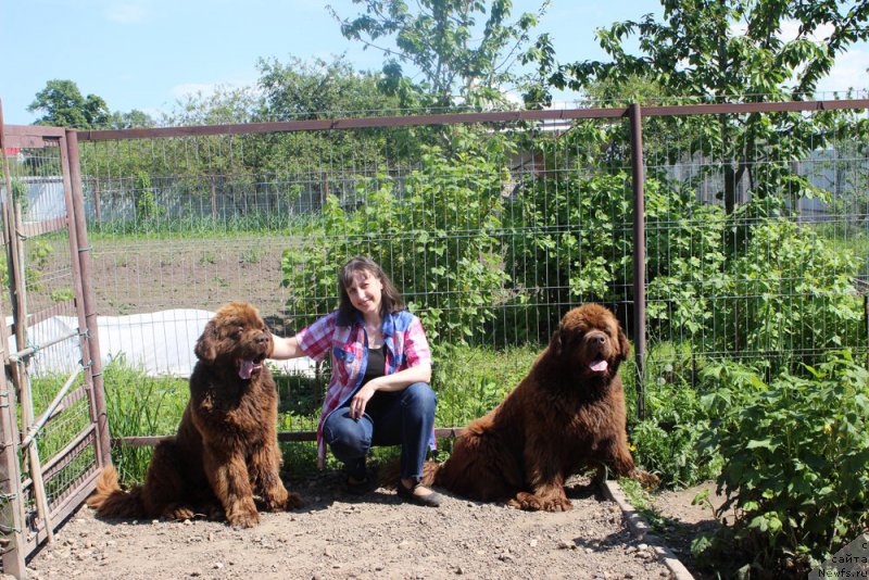 Фотография № 208174