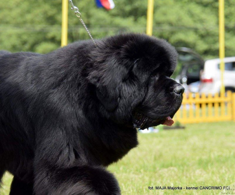 Фотография № 208175