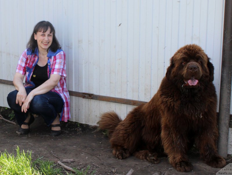 Фото: Tat'yana Grebenyuk (Татьяна Гребенюк), ньюфаундленд Charmer Denkam Bronze (Чармер Денкам Бронз)