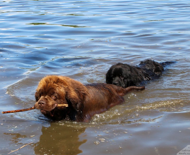 Фотография № 208183