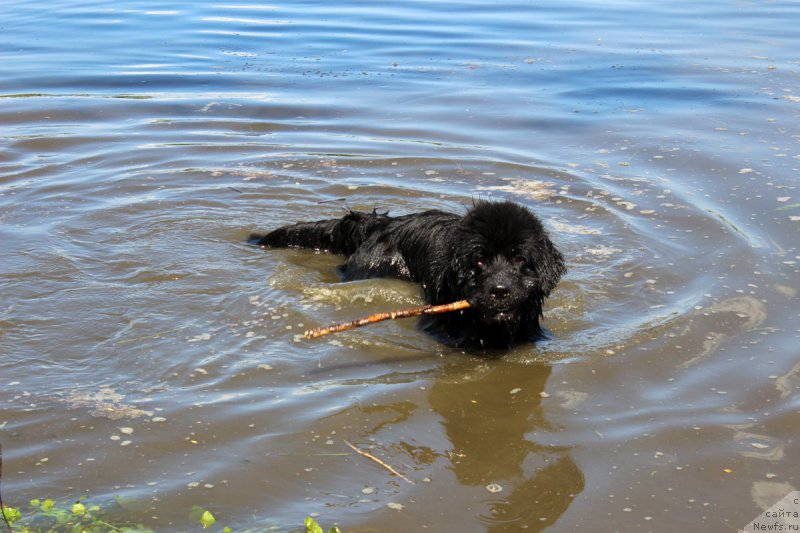 Фотография № 208184