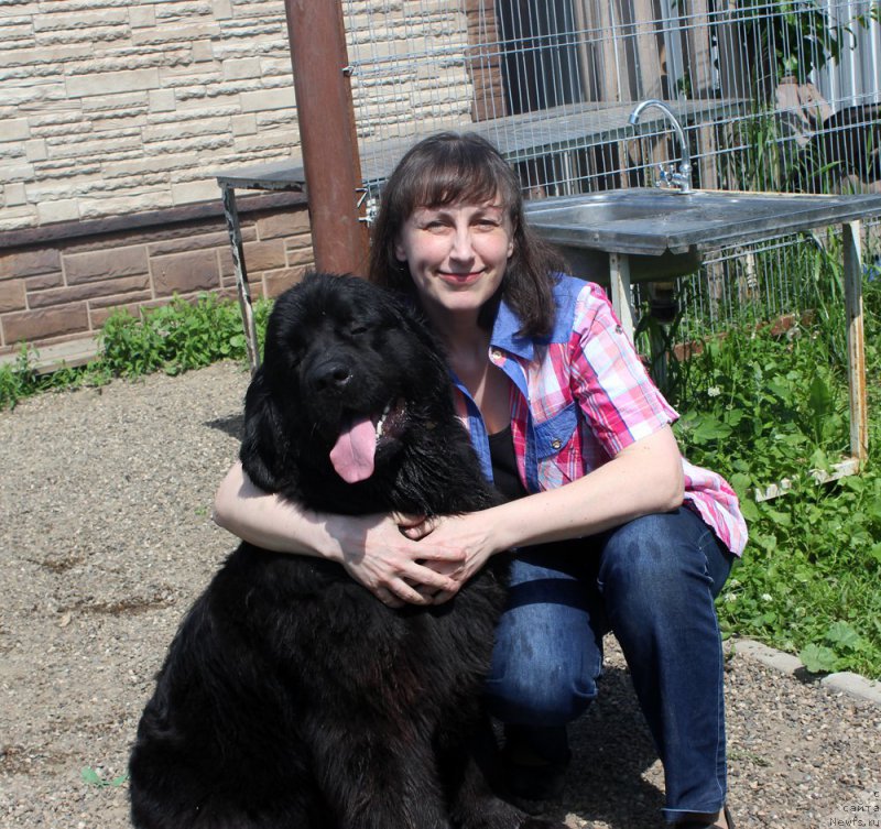 Фотография № 208221