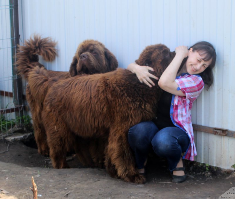 Фотография № 208223