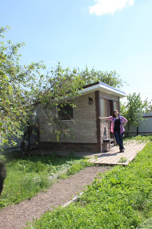 Фото: Tat'yana Grebenyuk (Татьяна Гребенюк)