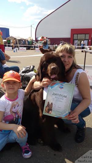 Фото: ньюфаундленд Edinstvennaya Moya Efrosin'ya (Единственная Моя Ефросинья)