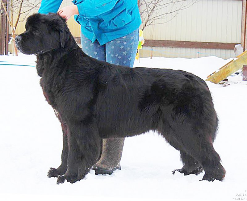 Фотография № 208226