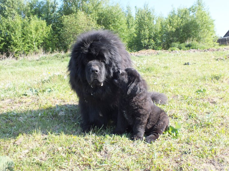 Фотография № 208234