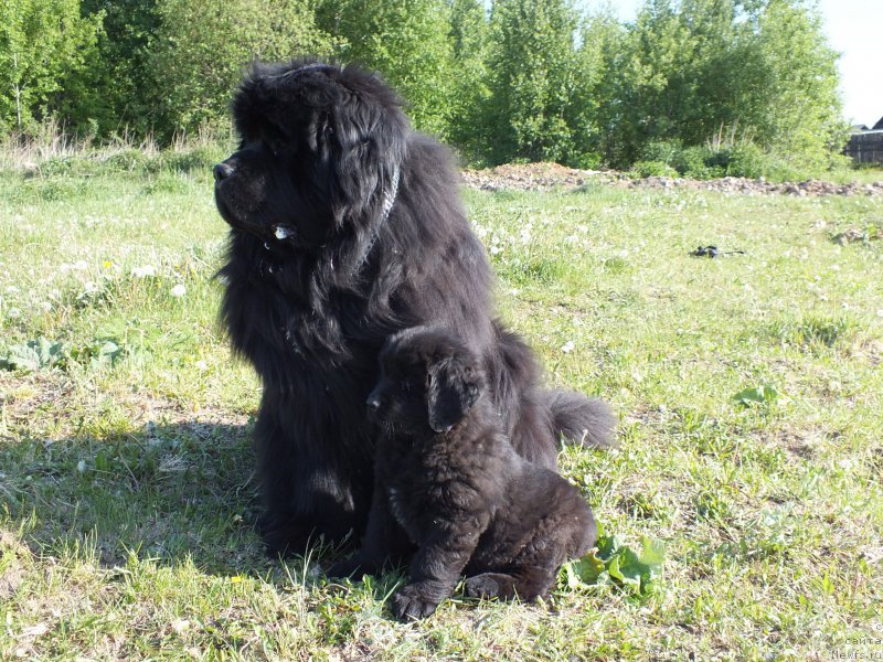 Фотография № 208235