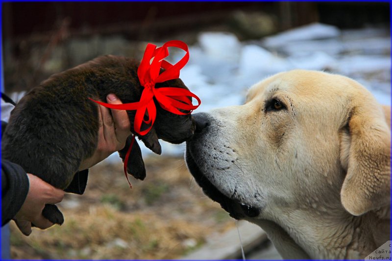 Фото: Lena Zyirina (Лена Зырина)