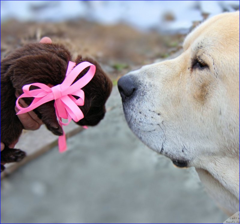 Фото: Lena Zyirina (Лена Зырина)