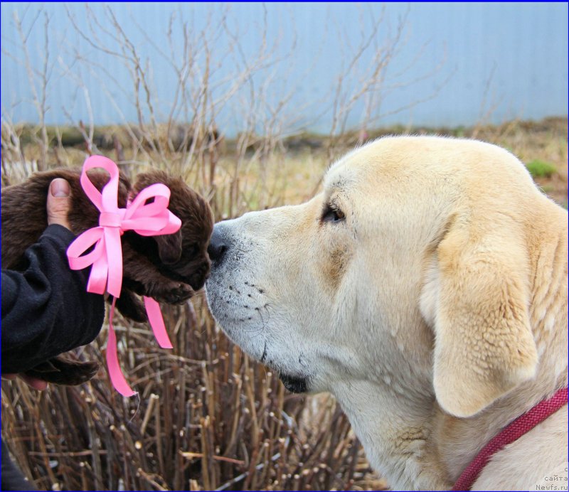 Фото: Lena Zyirina (Лена Зырина)