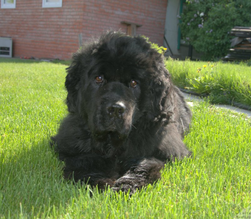 Фотография № 208278