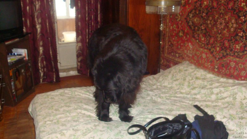 Фотография № 208363