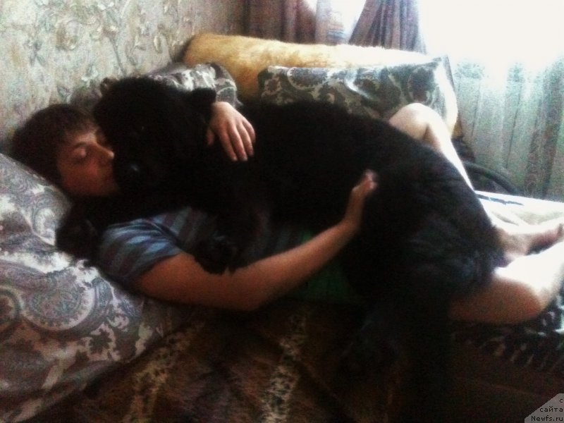 Фотография № 208364