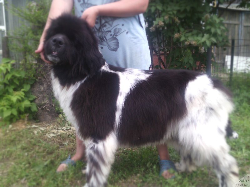 Фотография № 208391