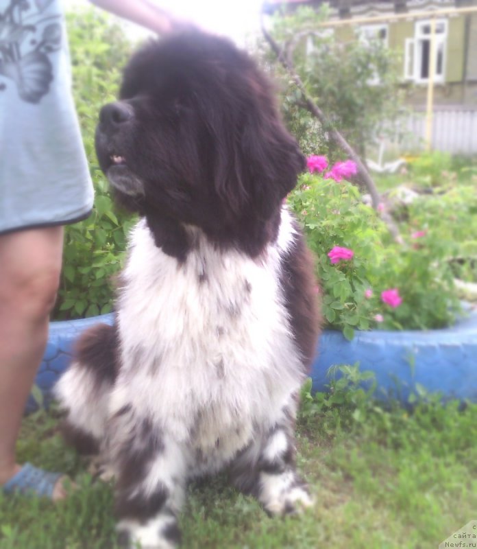 Фотография № 208392