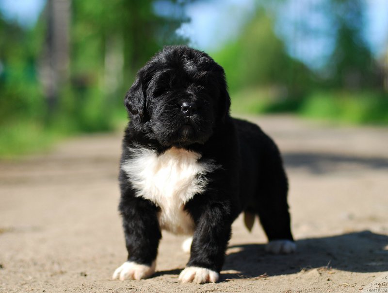 Фотография № 208403