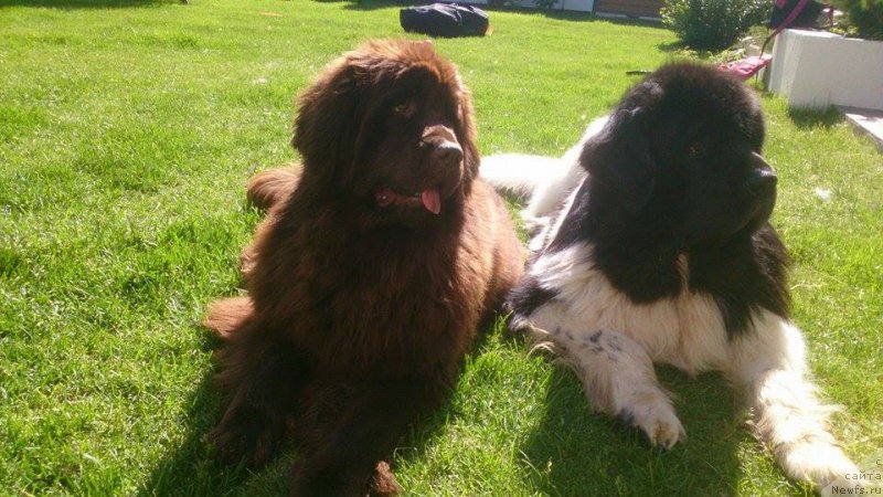 Фотография № 208411