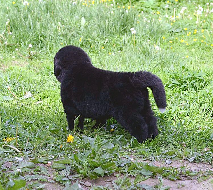 Фотография № 208428