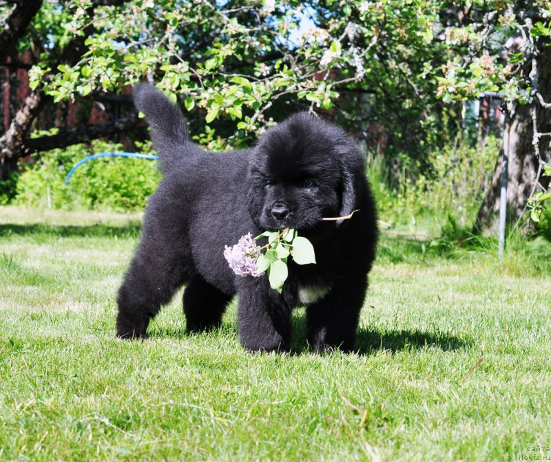 Фотография № 208432