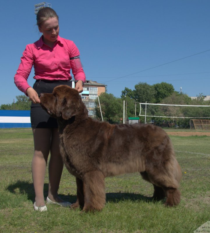 Фотография № 208467