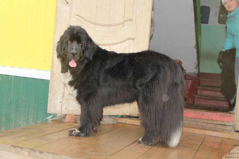 Фотография № 208474