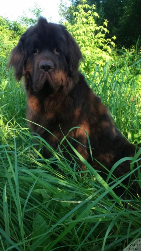 Фотография № 208476