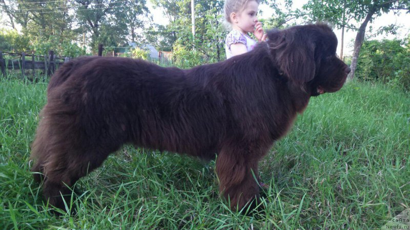 Фотография № 208477