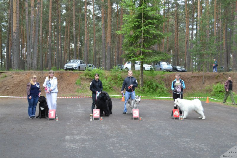 Фотография № 208479