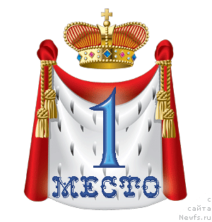 Фото: ньюфаундленд Belaya Noch' ot Karel'skih Medvedey (Белая Ночь от Карельских Медведей)