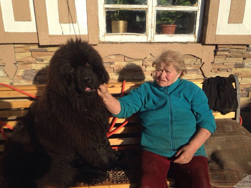 Фотография № 208486