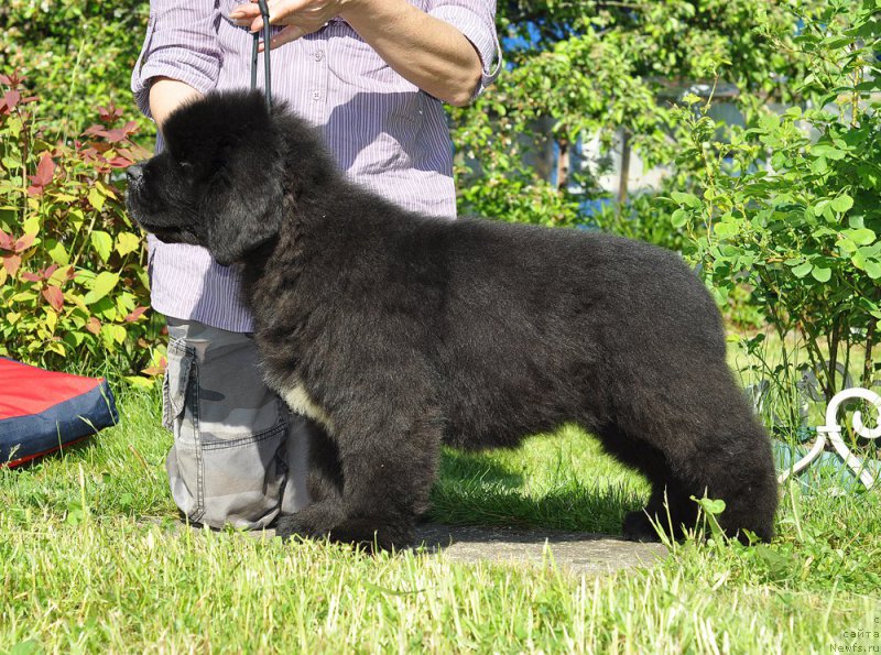 Фото: Бегущая по волнам Гугл Смайл