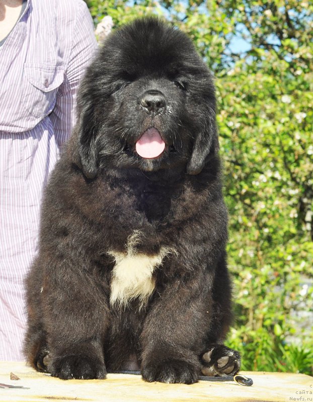 Фотография № 208501