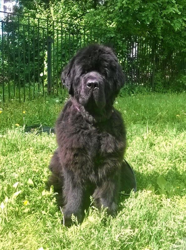 Фотография № 208516