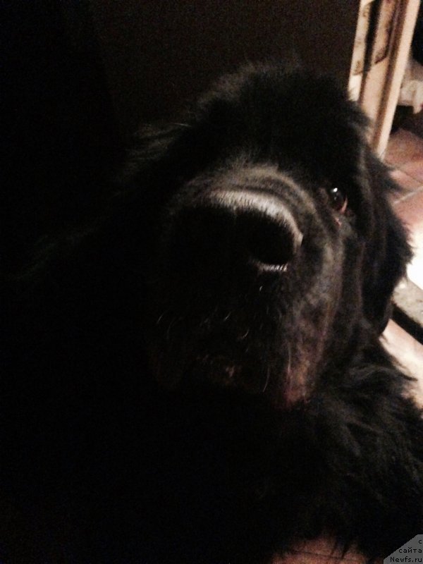 Фото: Sergey Zinin (Сергей Зинин)