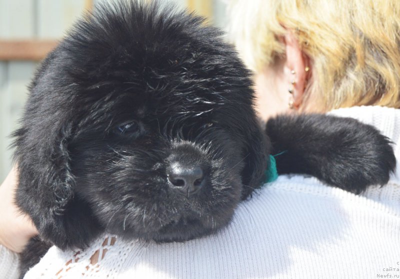 Фотография № 208560