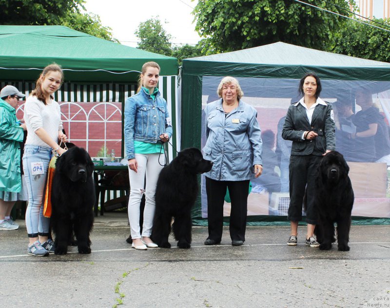 Фотография № 208582