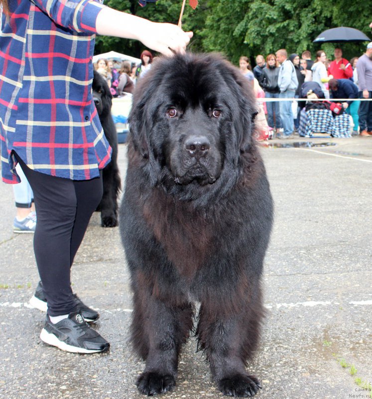 Фотография № 208584