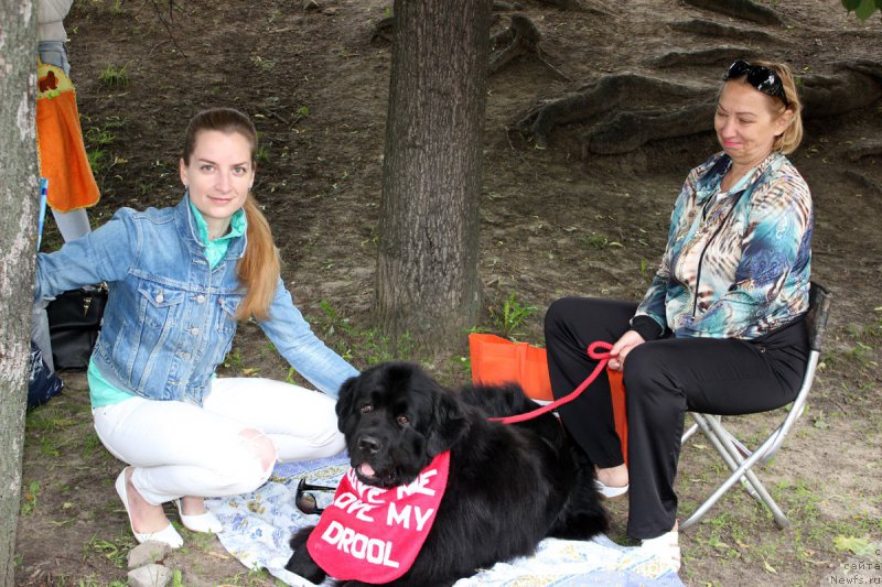 Фото: YEleonora Veselova (Элеонора Веселова), ньюфаундленд Starbimovlav Demofont (Старбимовлав Демофонт)