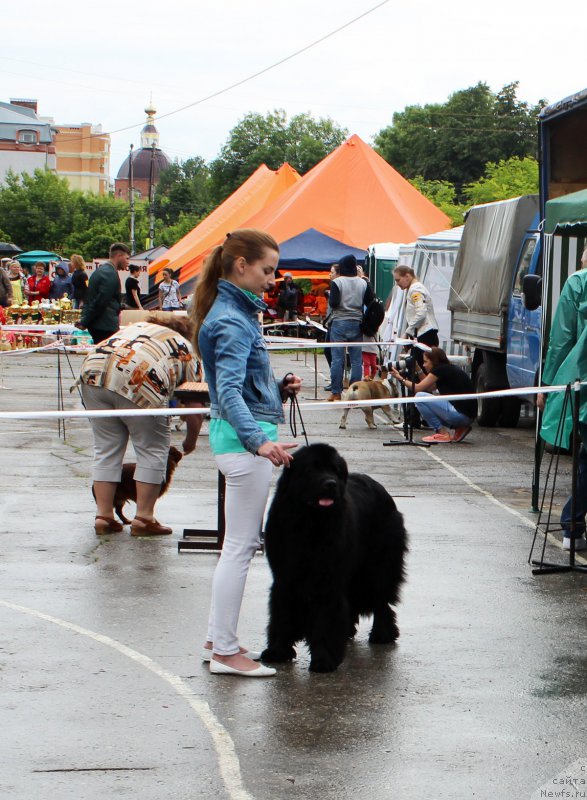 Фотография № 208595