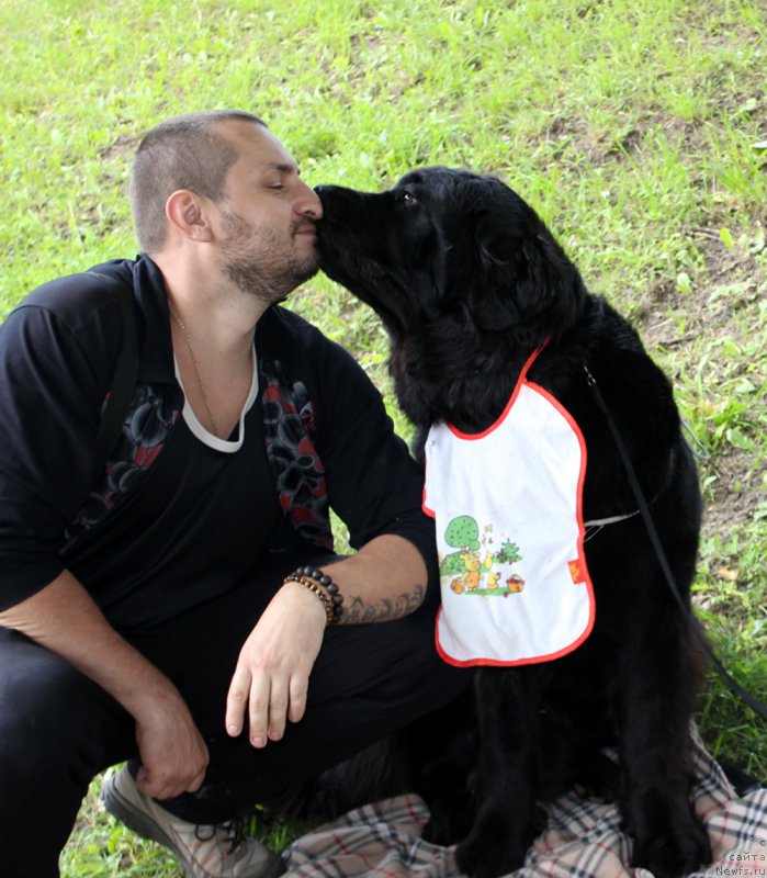 Фотография № 208597