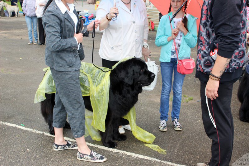 Фотография № 208599