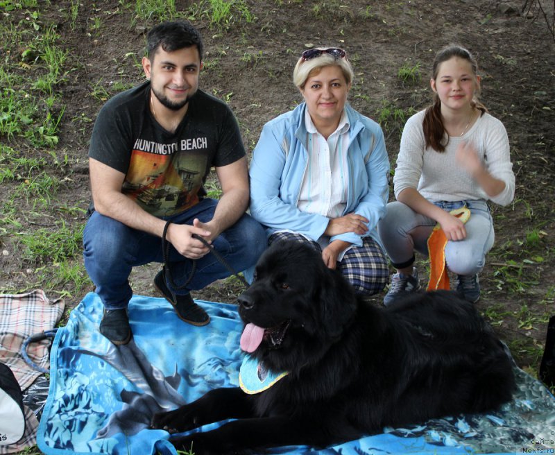 Фотография № 208605