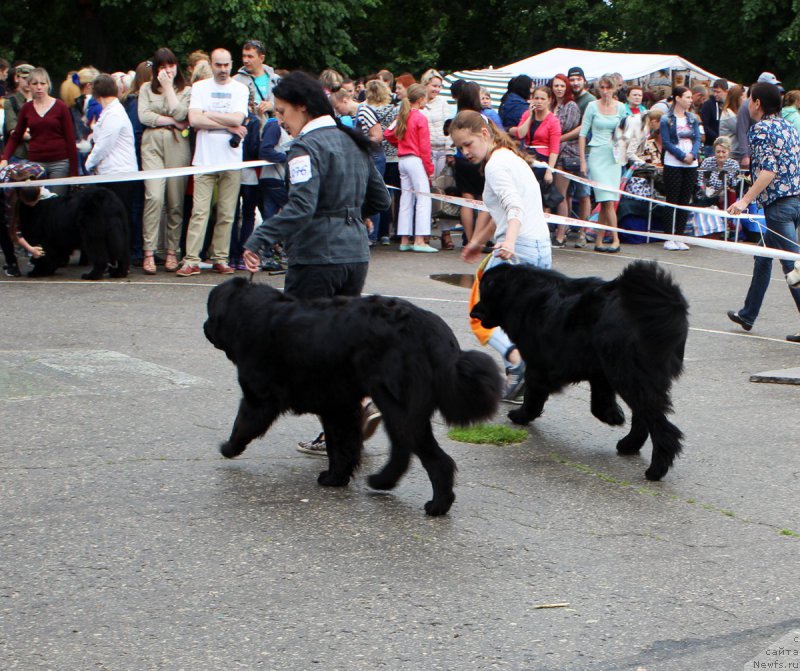 Фотография № 208607