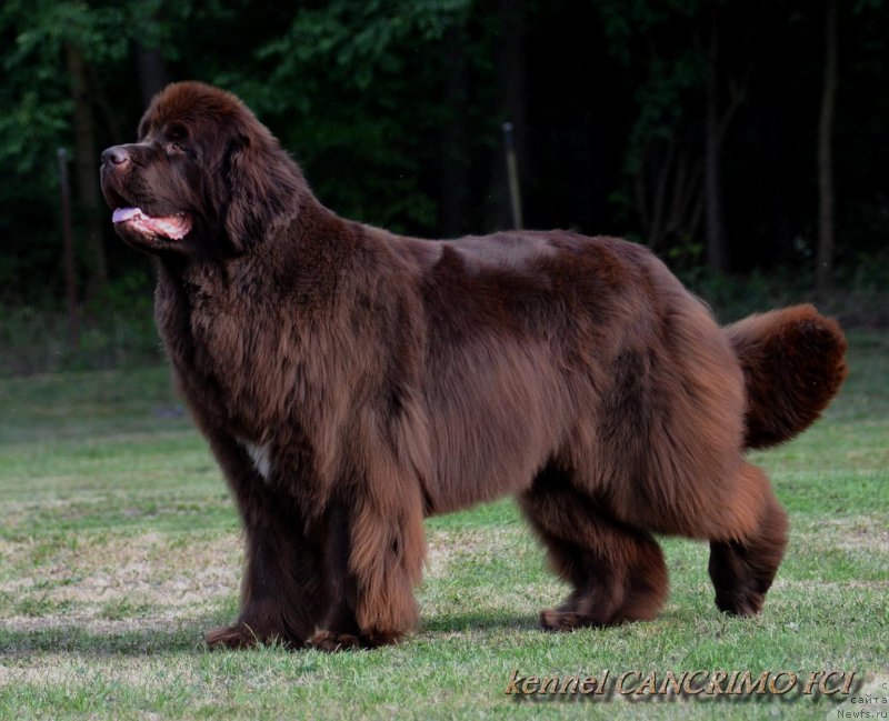 Фотография № 208629