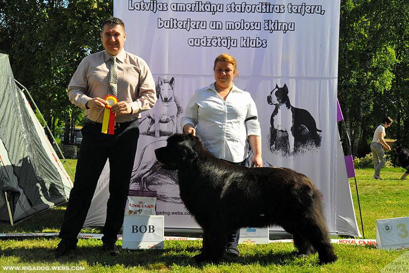 Фотография № 208649