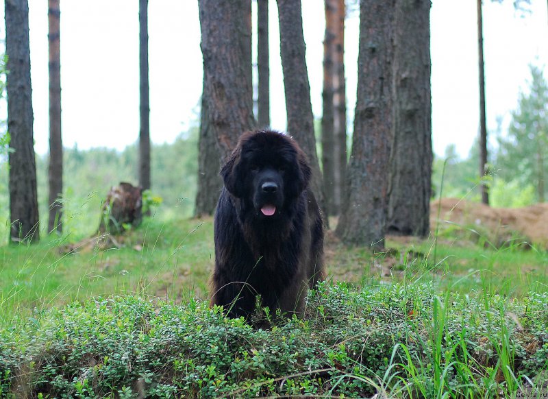 Фотография № 208684