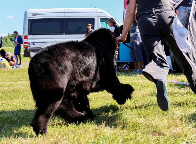 Фотография № 208709