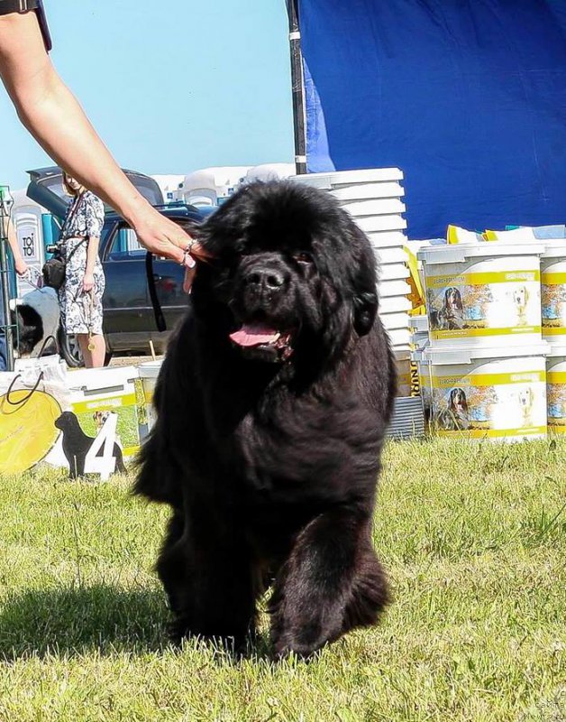 Фотография № 208711